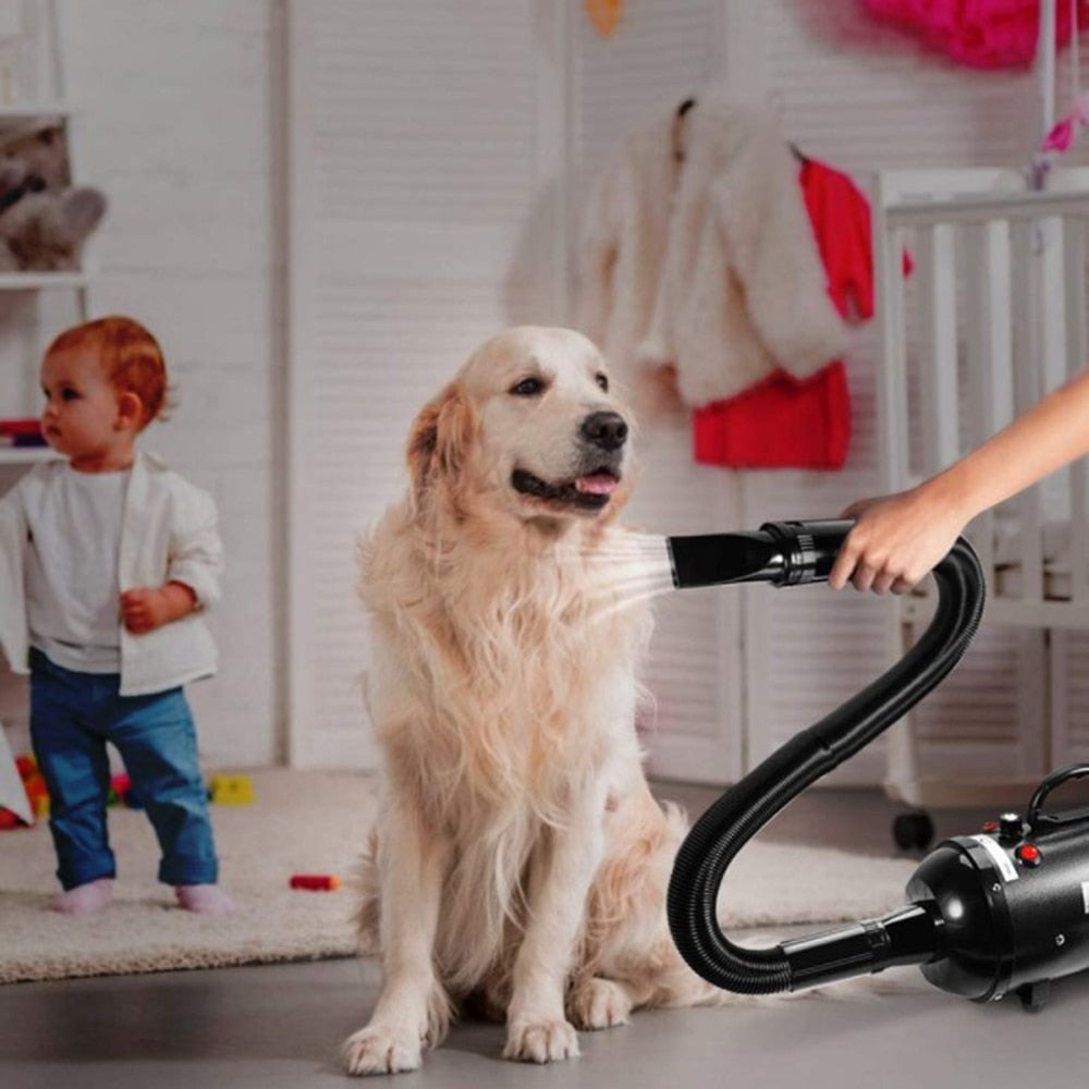 2-In-1 Adjustble 3 Gear Pet Hair Dryer/Groomer