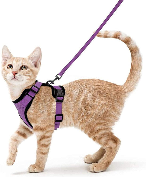 Escape proof Adjustable Soft Mesh Small Pet Harness and Leash Set