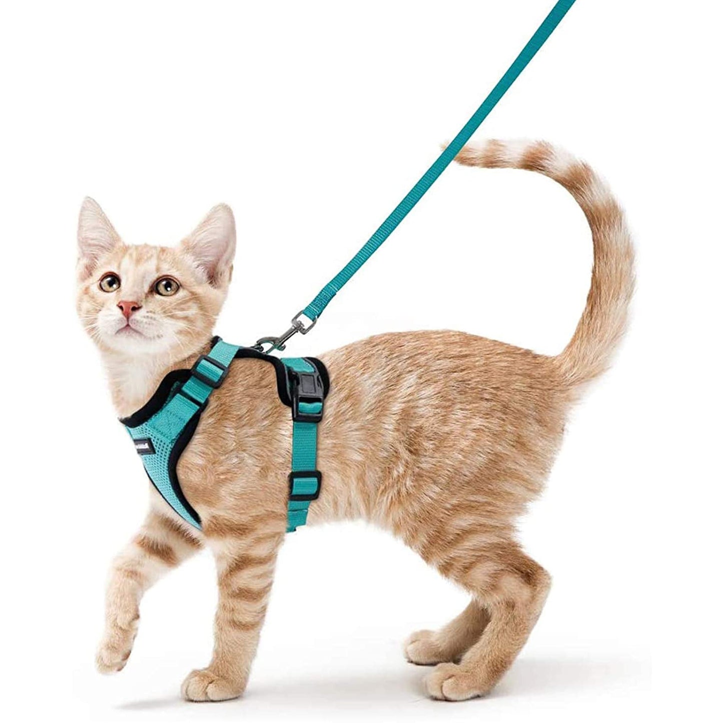 Escape proof Adjustable Soft Mesh Small Pet Harness and Leash Set