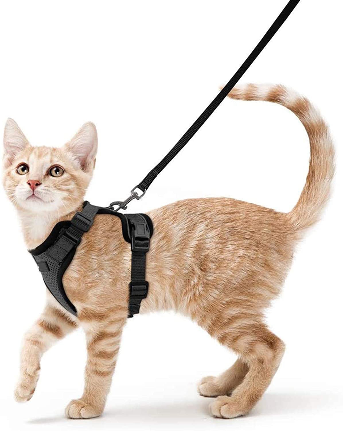 Escape proof Adjustable Soft Mesh Small Pet Harness and Leash Set