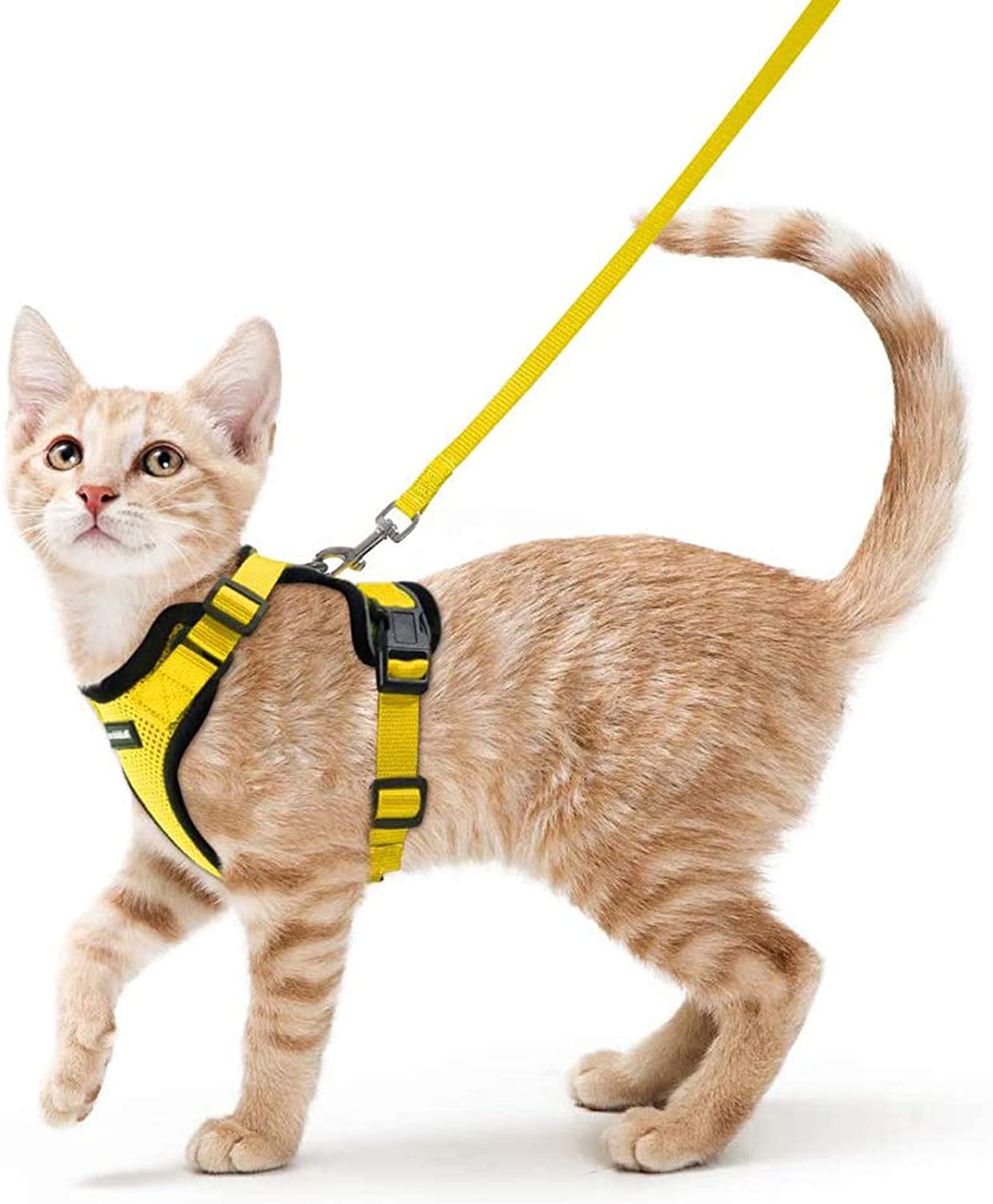 Escape proof Adjustable Soft Mesh Small Pet Harness and Leash Set