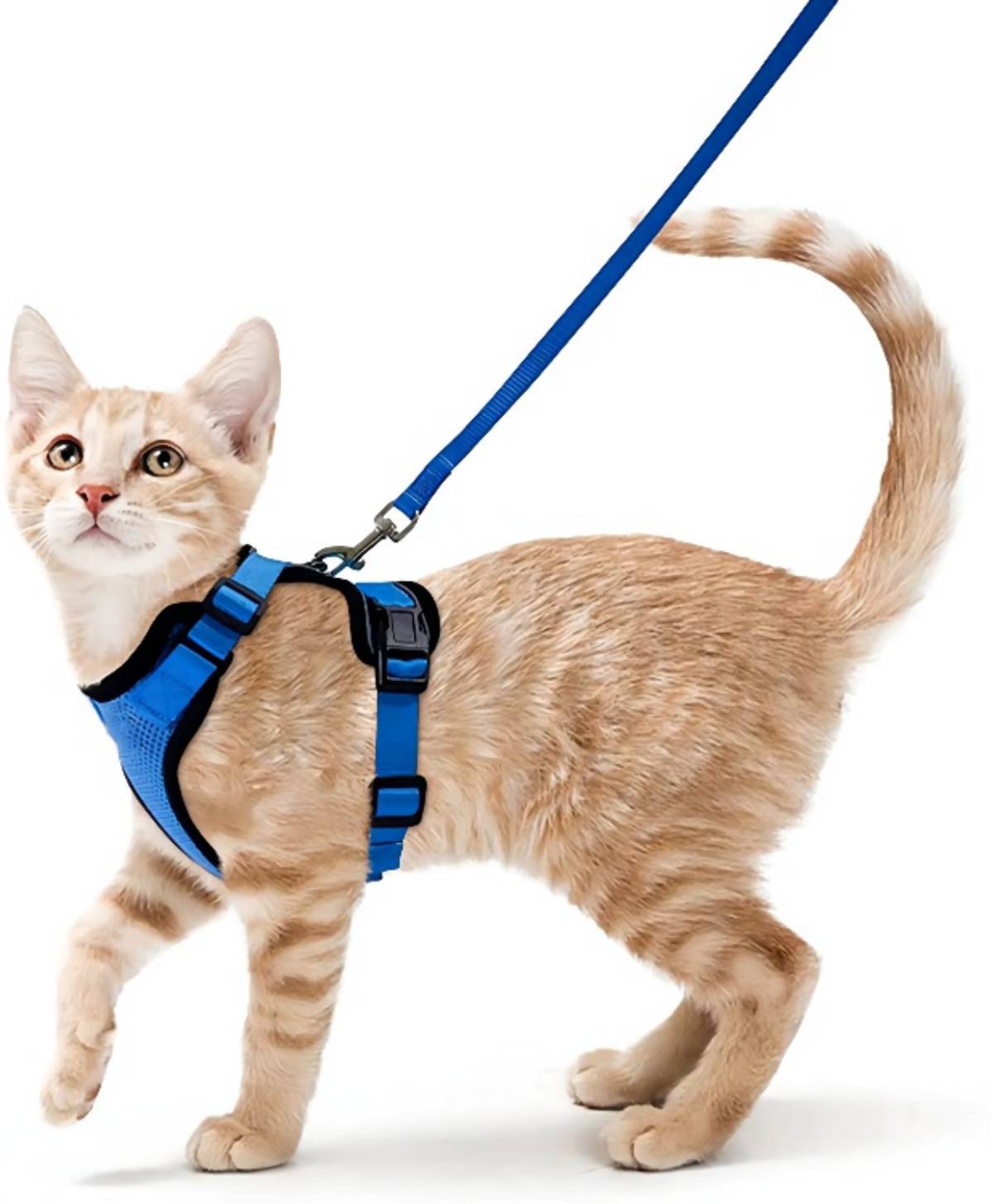 Escape proof Adjustable Soft Mesh Small Pet Harness and Leash Set
