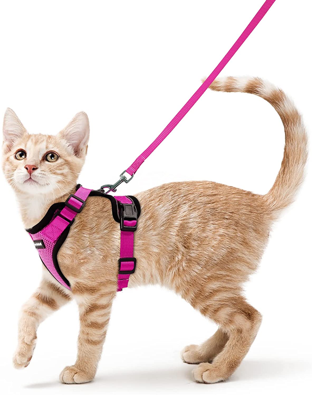 Escape proof Adjustable Soft Mesh Small Pet Harness and Leash Set