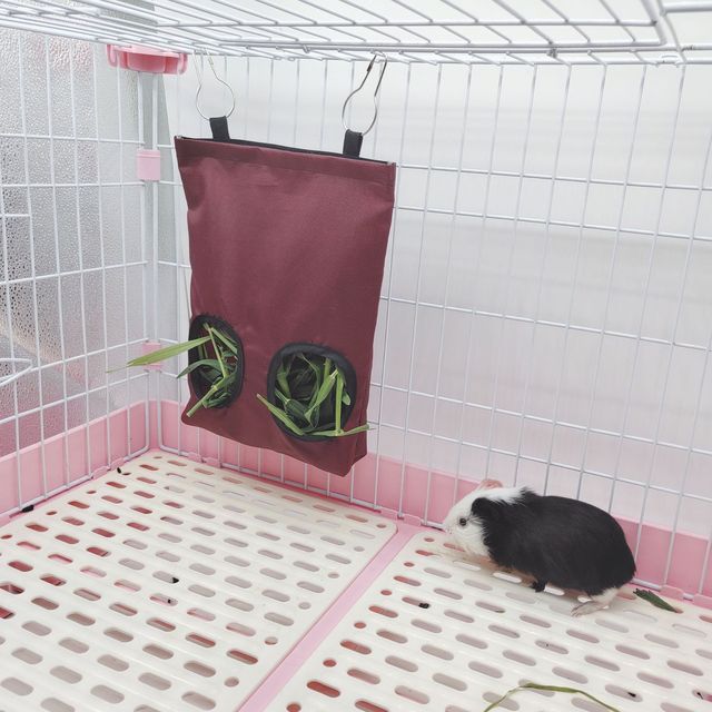 Small Animals Hay Feeder