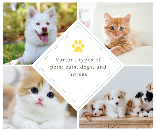 Various types of pets: cats, dogs, and  horses