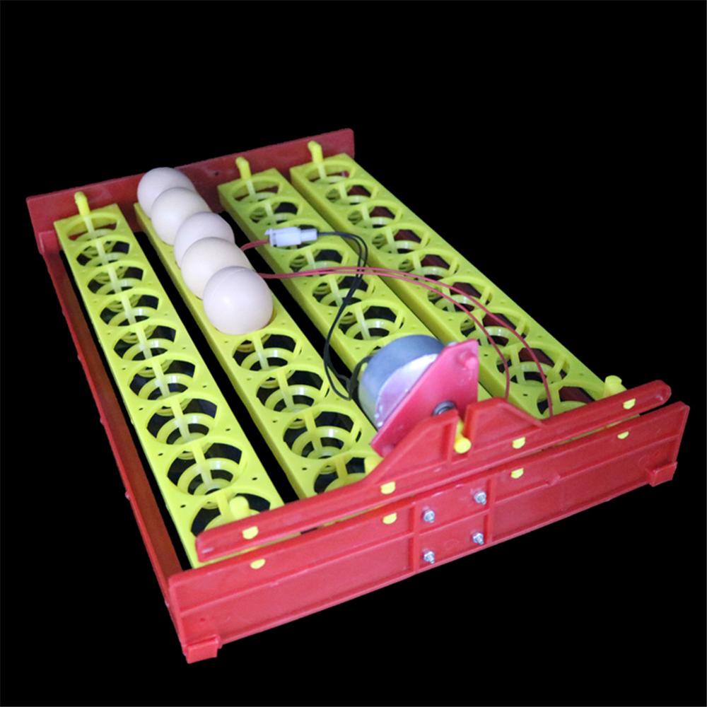 36 Eggs Poultry Incubator Turn Tray Duck Goose Pigeon Quail Birds Automatic Hatching Equipment Farm Animal Incubation Supplies