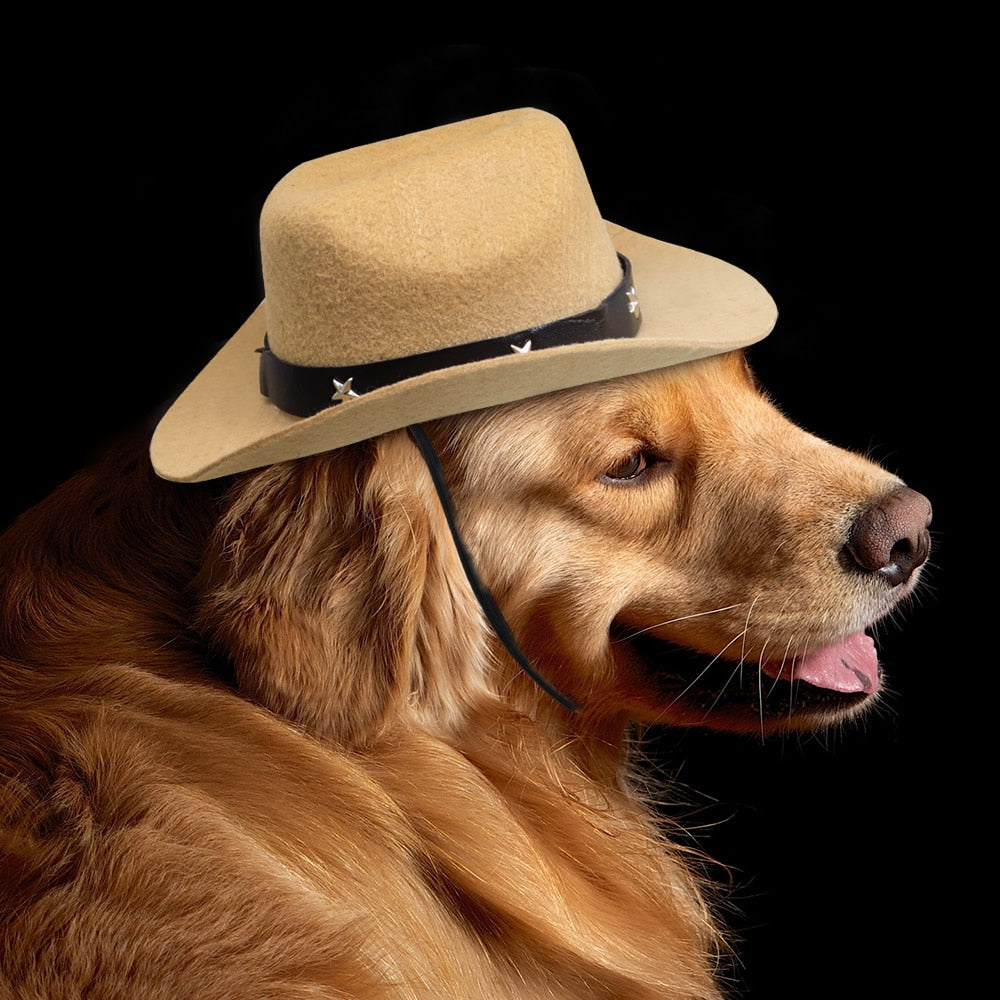 Adjustable Pet Hat