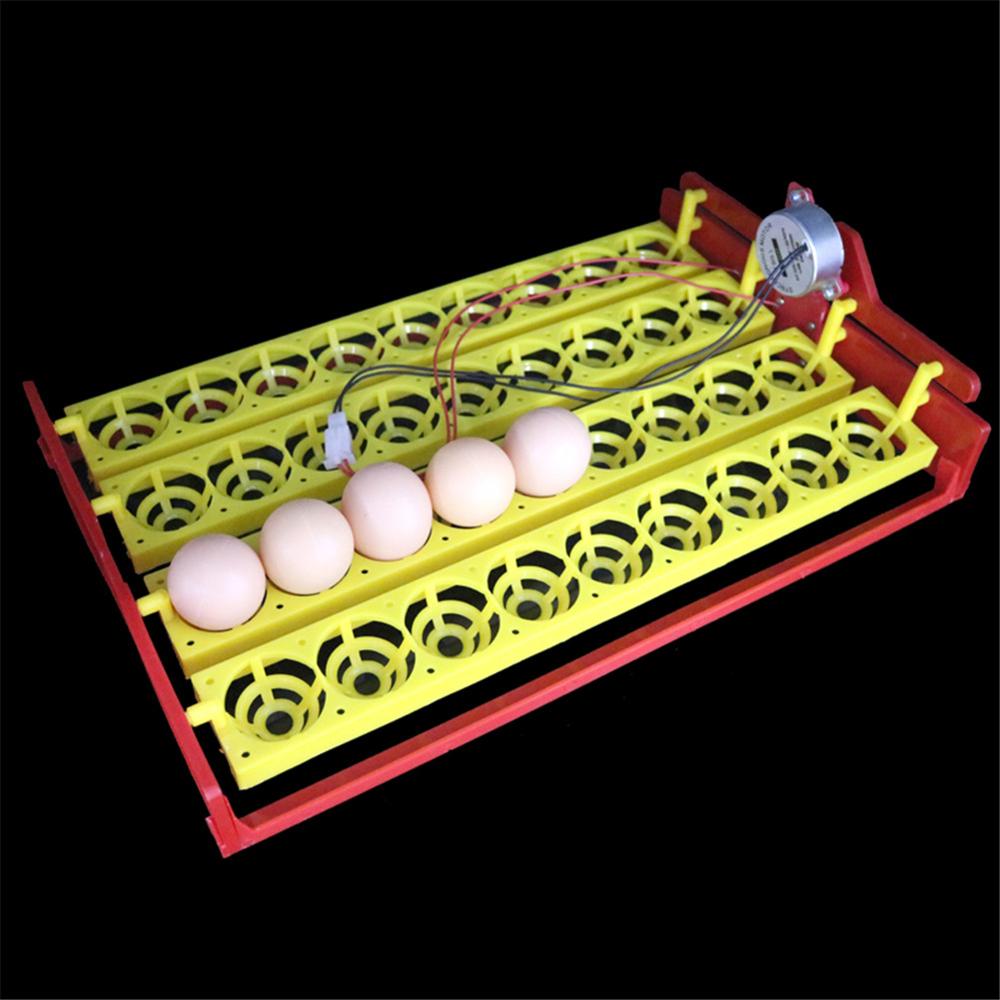 36 Eggs Poultry Incubator Turn Tray Duck Goose Pigeon Quail Birds Automatic Hatching Equipment Farm Animal Incubation Supplies