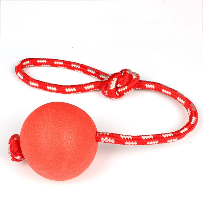 Interactive Indestructible Bouncy Dog Ball