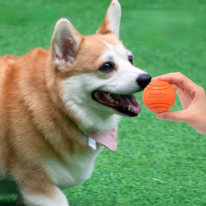 Interactive Indestructible Bouncy Dog Ball