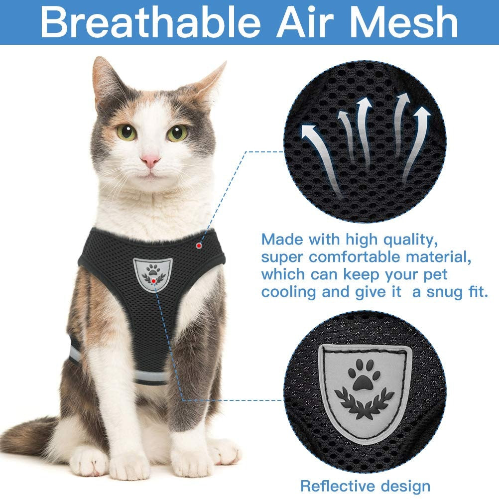 Breathble Reflective Pet Vest and Leash