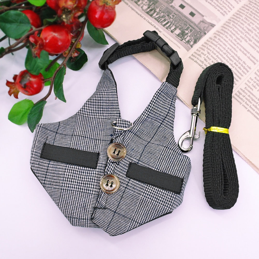 Small Pet Vest Harness with leash