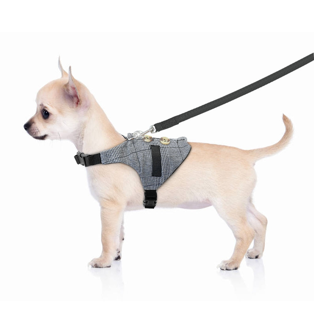 Small Pet Vest Harness with leash