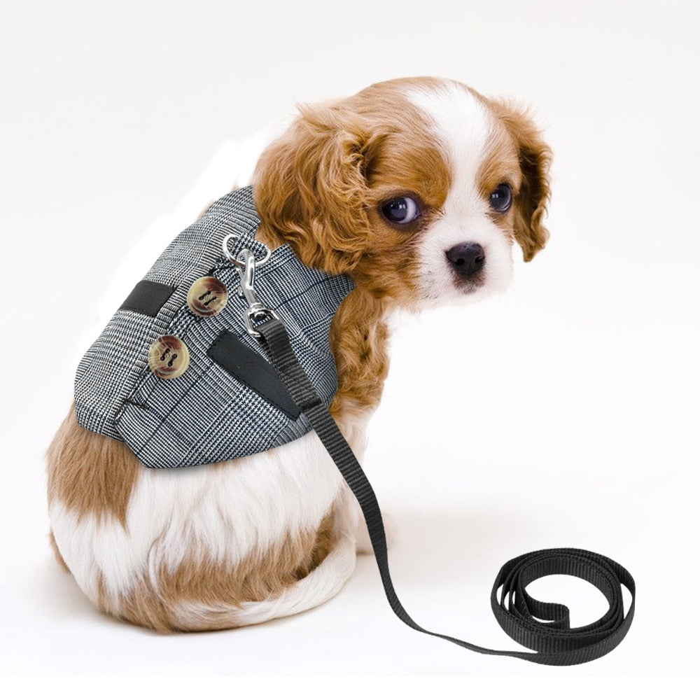 Small Pet Vest Harness with leash