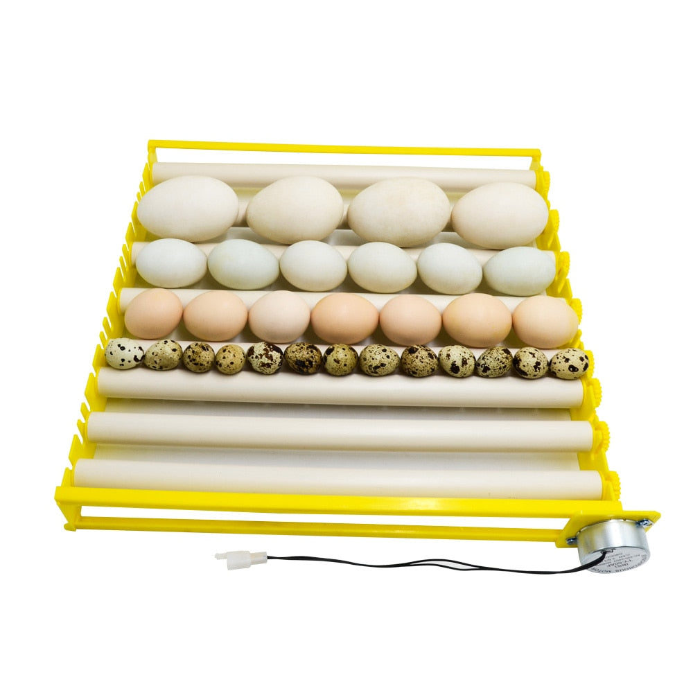 Automatic 360 roation Poultry Incubator