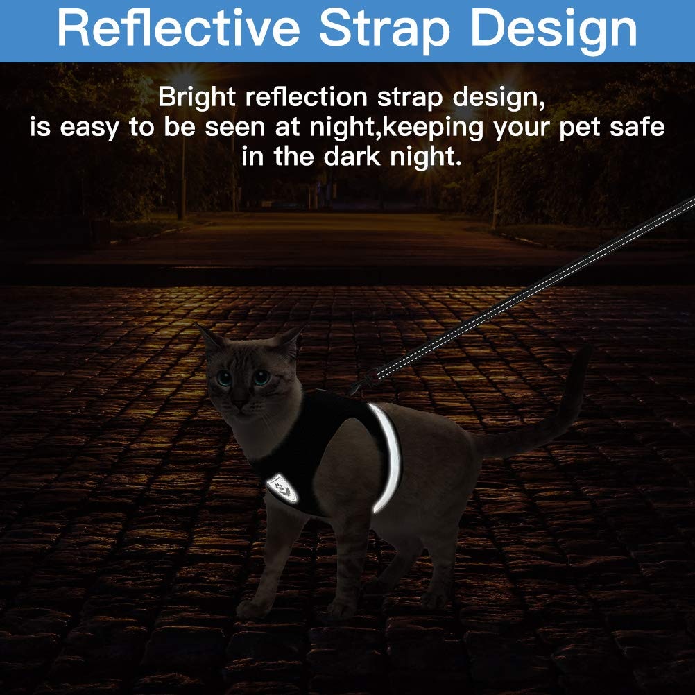 Breathble Reflective Pet Vest and Leash