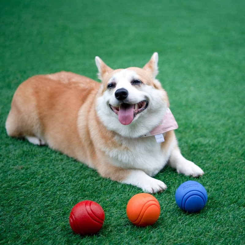 Interactive Indestructible Bouncy Dog Ball