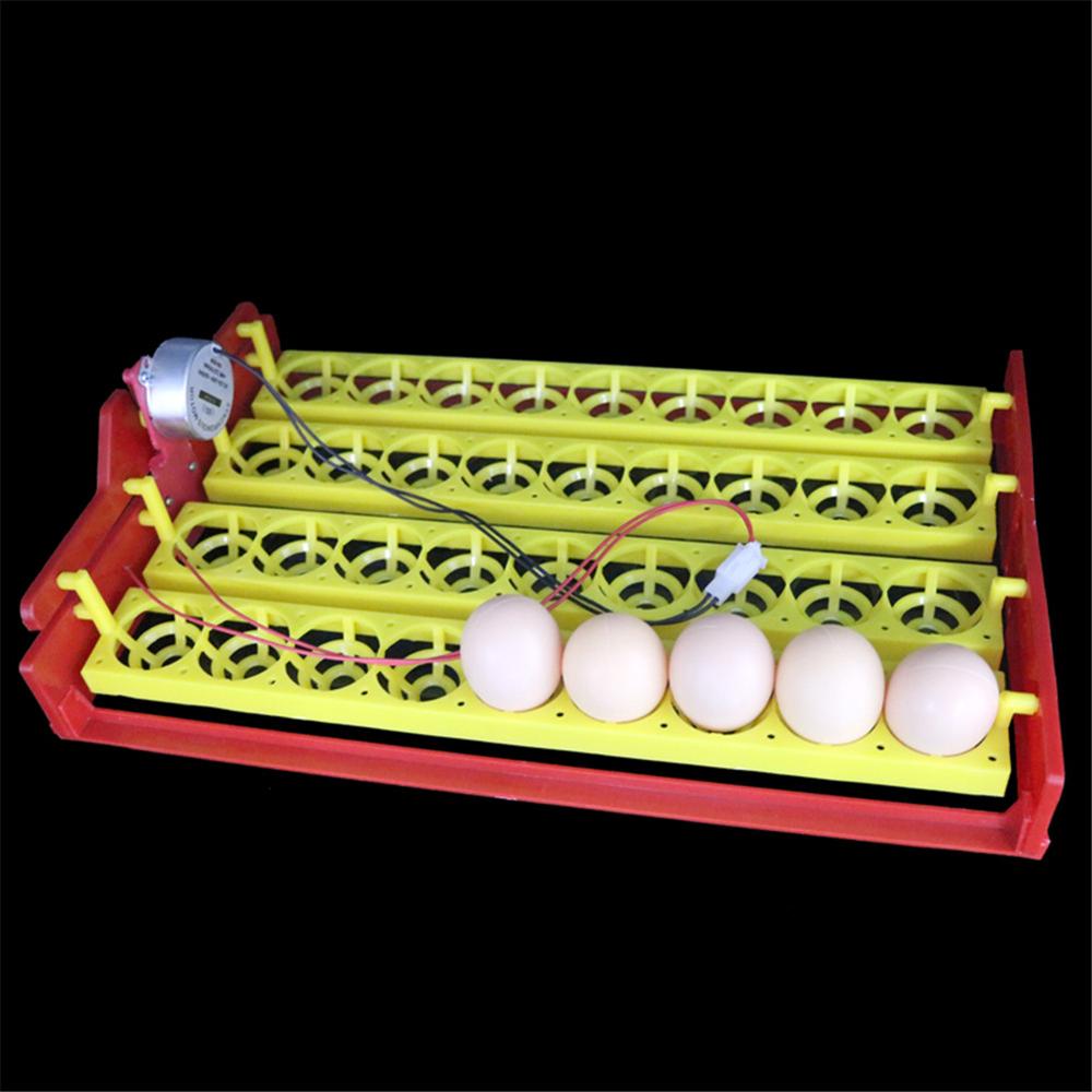 36 Eggs Poultry Incubator Turn Tray Duck Goose Pigeon Quail Birds Automatic Hatching Equipment Farm Animal Incubation Supplies