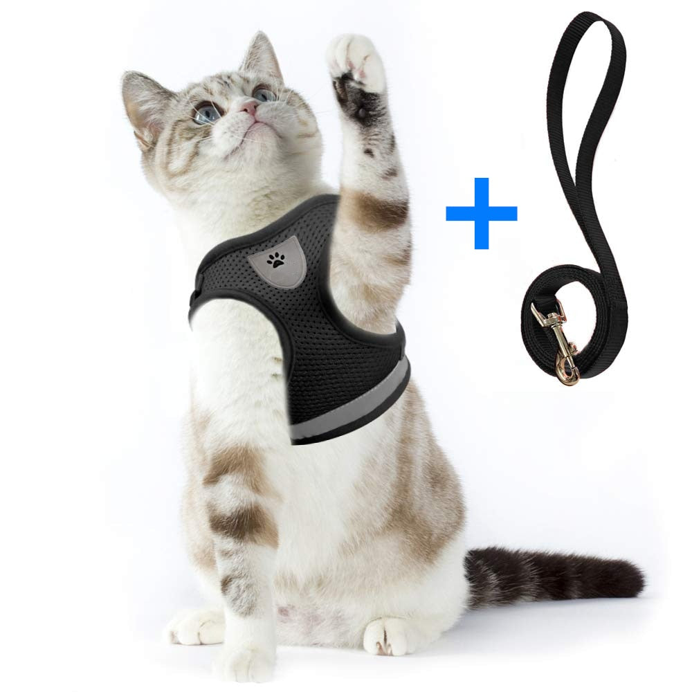 Breathble Reflective Pet Vest and Leash