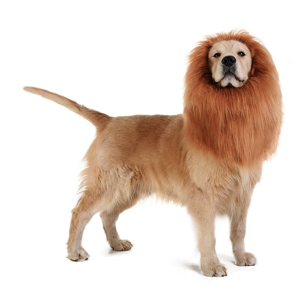 Large Dog Lion Mane Costume