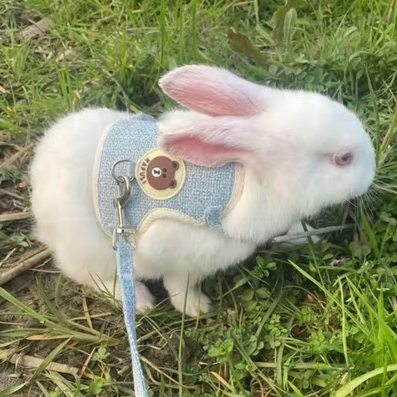 Cute Pet Harness & Leash Set