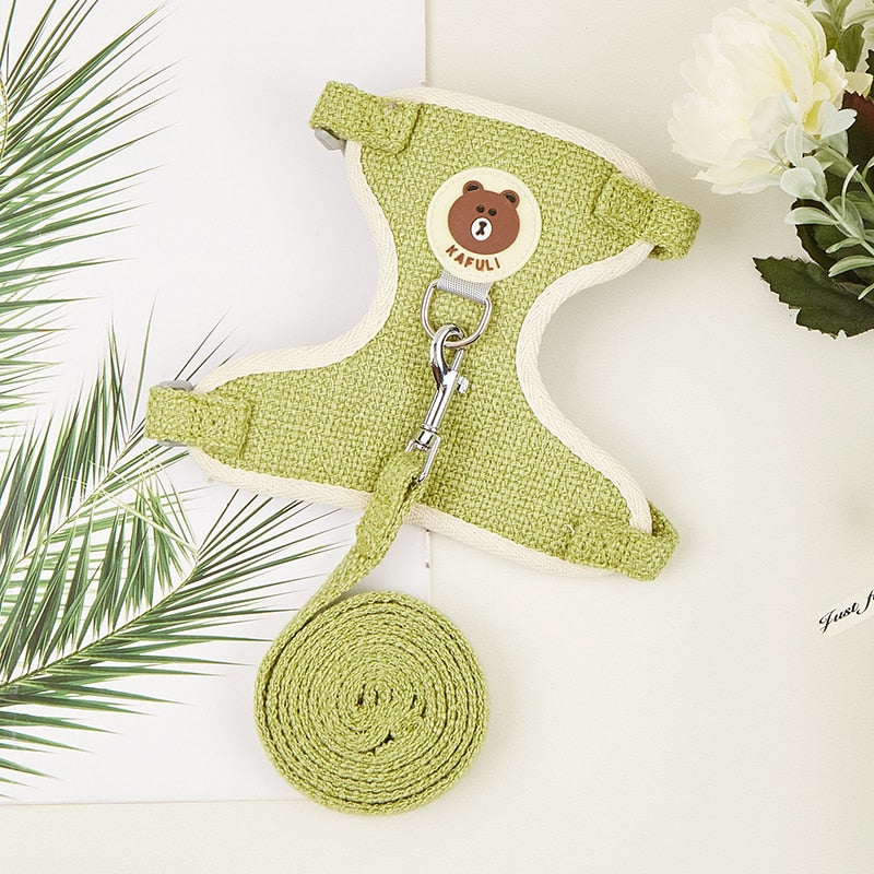 Cute Pet Harness & Leash Set