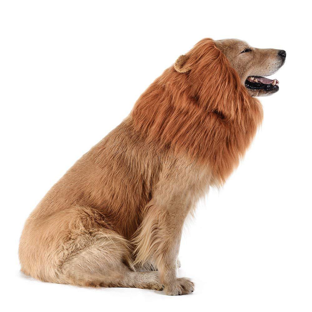 Large Dog Lion Mane Costume