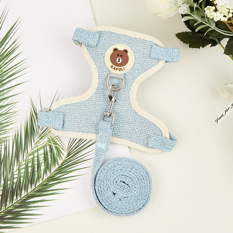 Cute Pet Harness & Leash Set