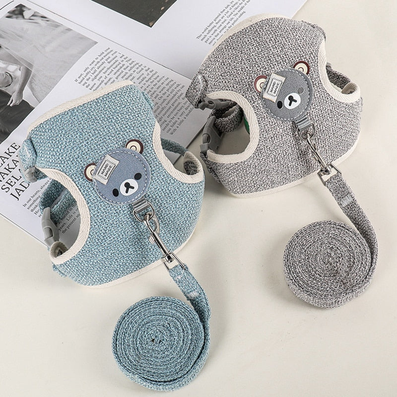 Cute Pet Harness & Leash Set