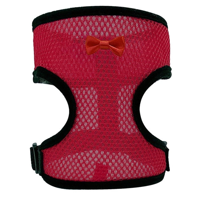 Pet Poultry Harness