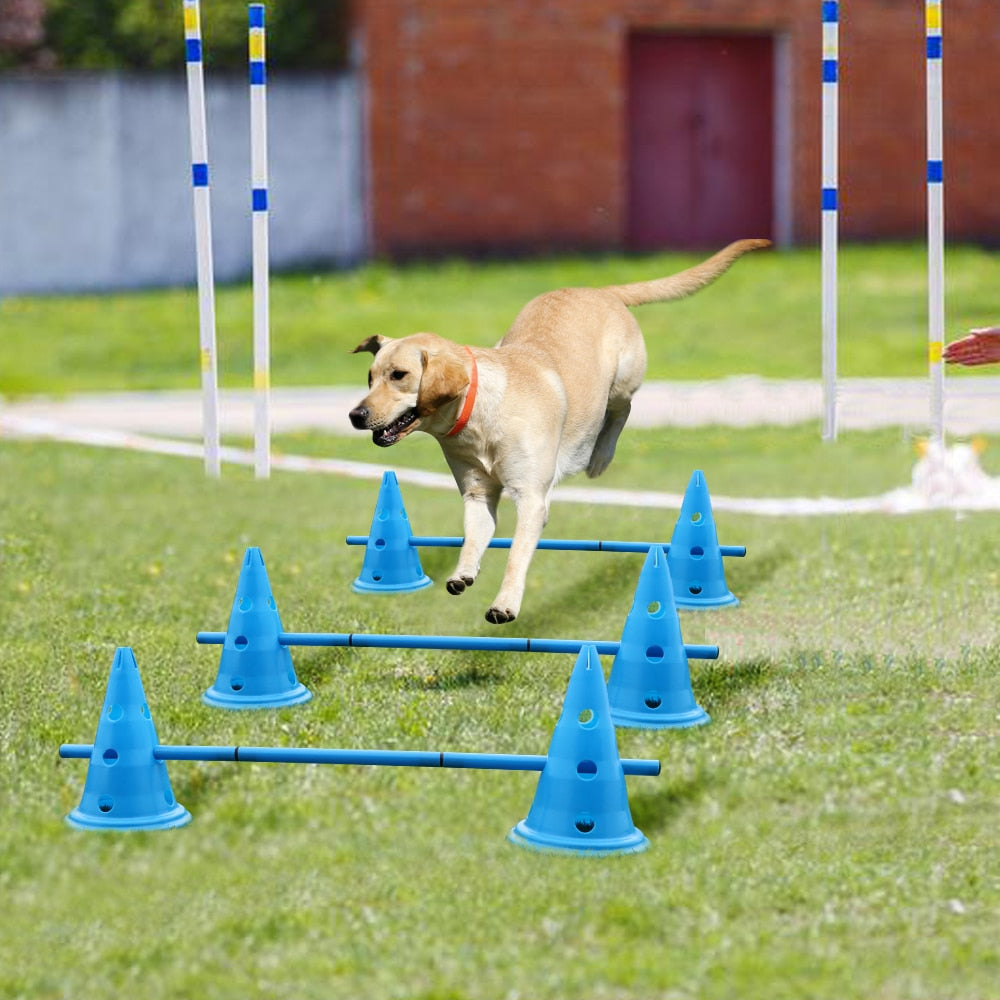 Sports Dog Agility Outdoor Training Equipment 3set