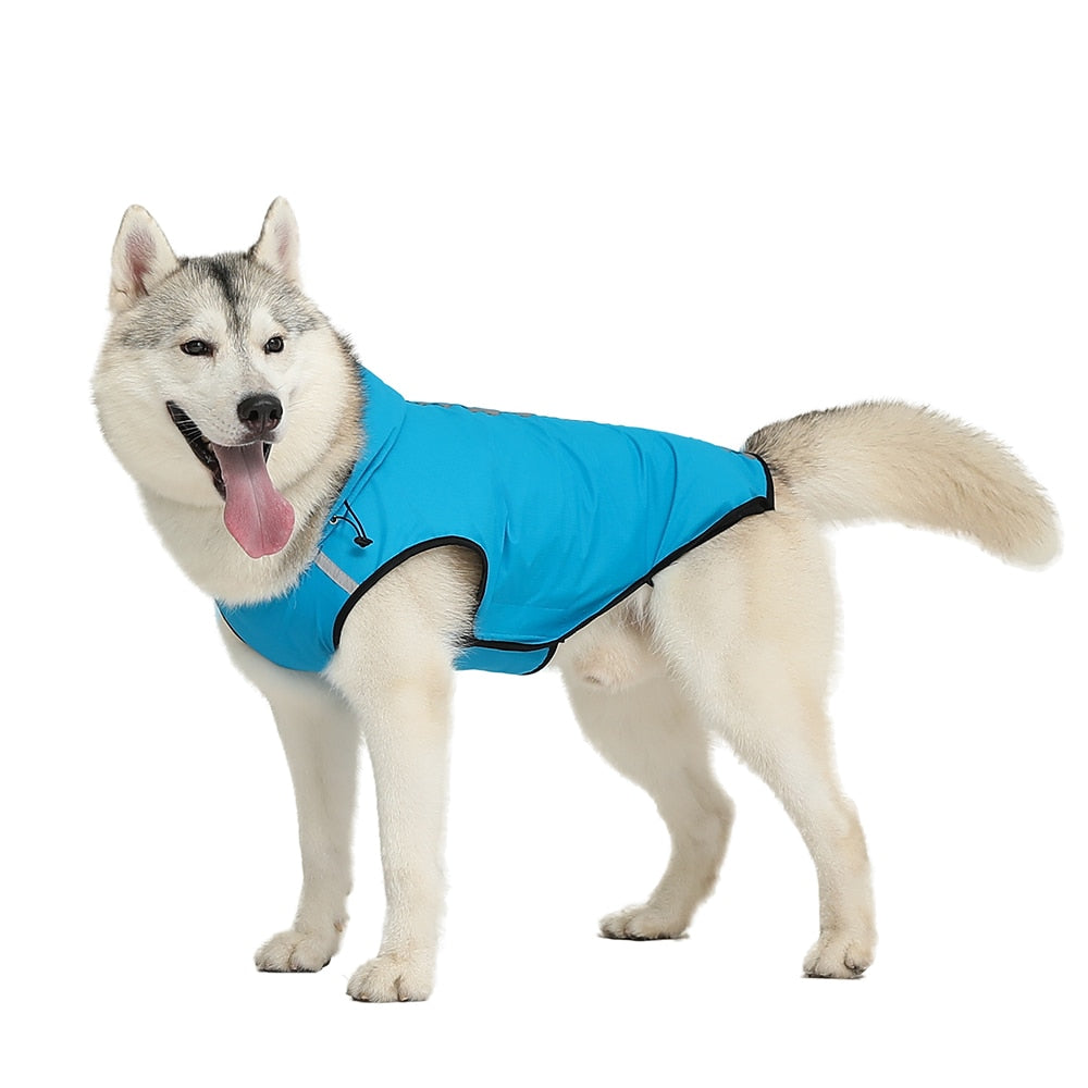 Waterproof Dog Jacket