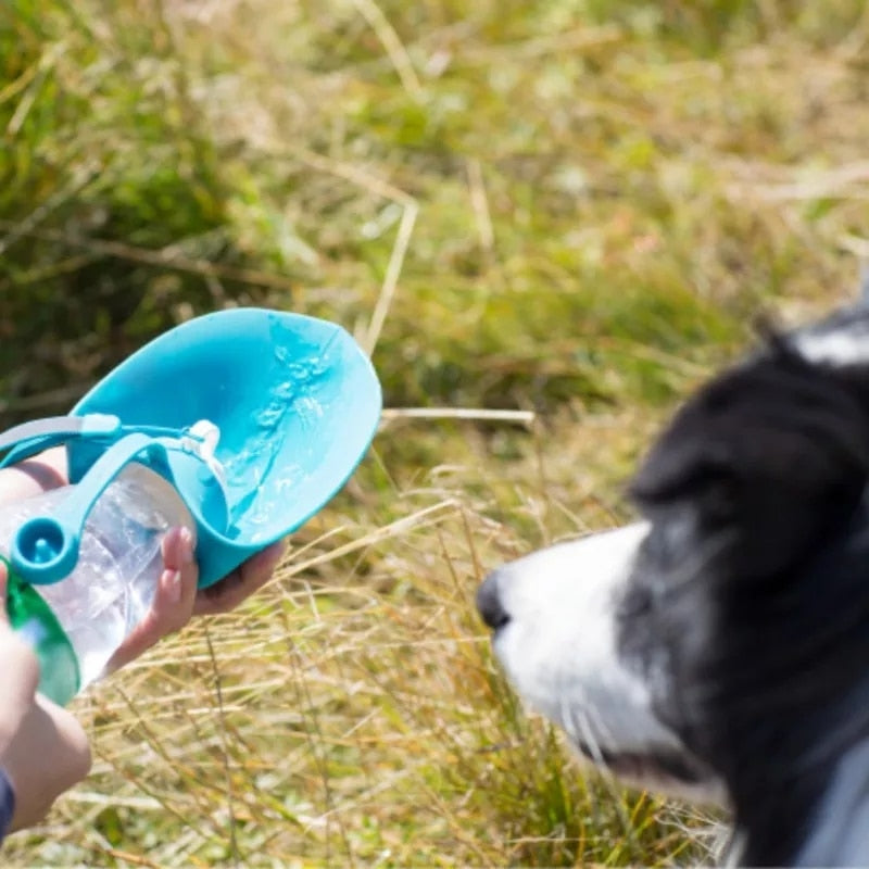 Portable  Bottle Outdoor Pet Drinking Dispenser