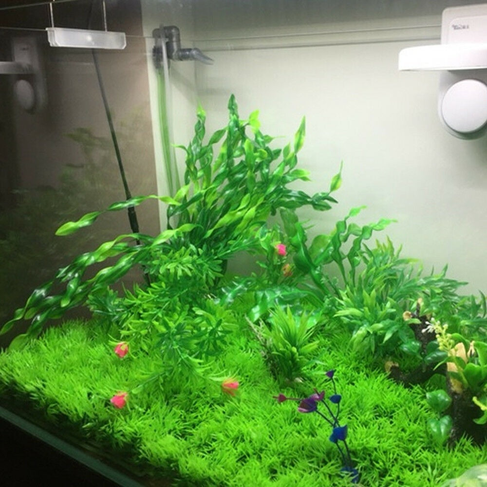 Eco-Friendly Artificial Water Home for your Fish