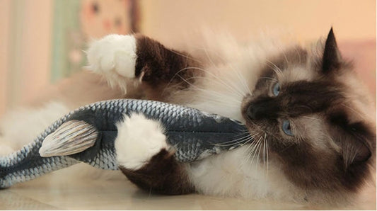 Interactive Fish USB Charging Simulation Cat Toy with Cath Nip