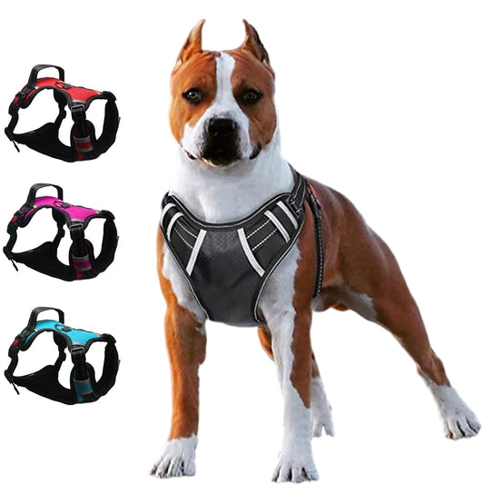 No Pull Adjustbale Reflective Matching Pet Leash & Collar