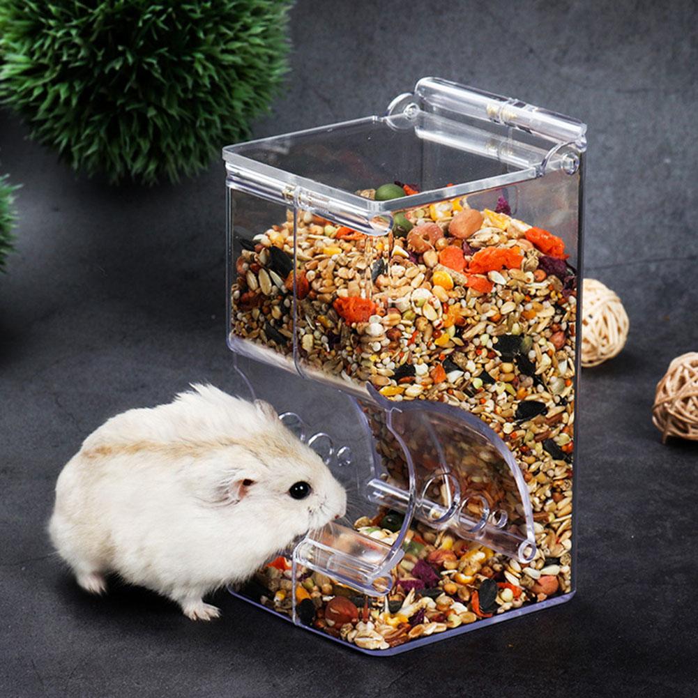 Automatic Pet Feeder