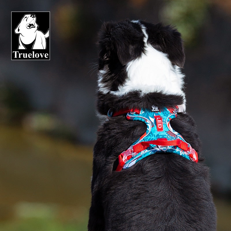 Adjustable Explosion-proof Reflective Dog Harness