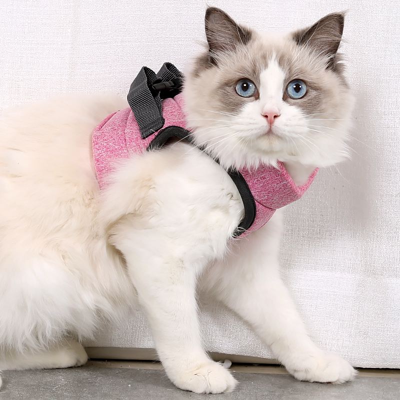 Escape proof Cat Harness and Leash Soft and Adjustable