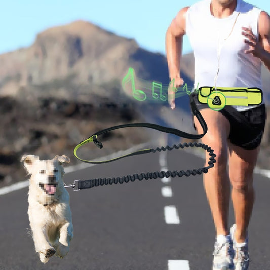 Reflective Hands Free Elastic Belt Pet Leash set with Waste Bag