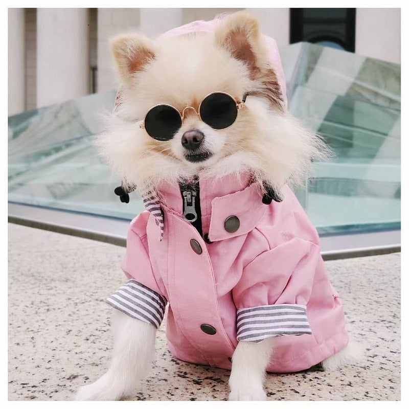 Waterproof Pet Jacket f