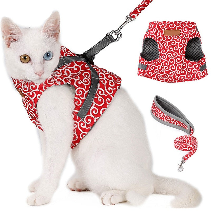 Outdoor Pet Vest Travel Harness Leash Set