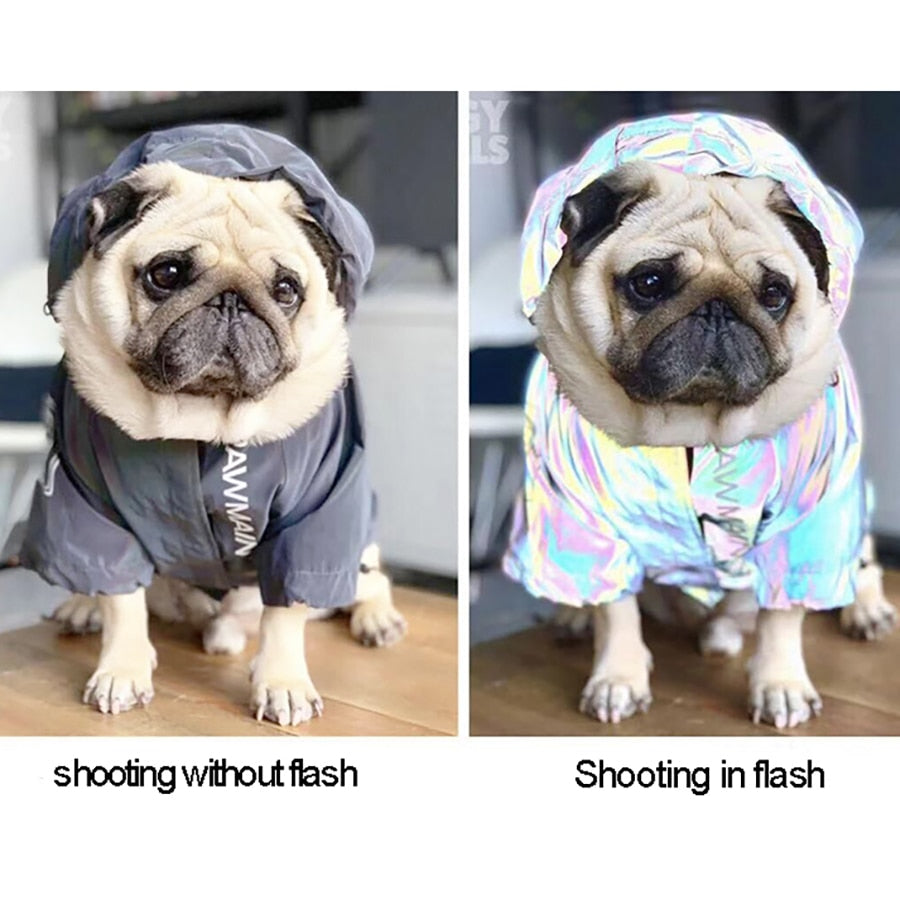 Cool Colorful Fashion Reflective Waterproof Pet Clothes