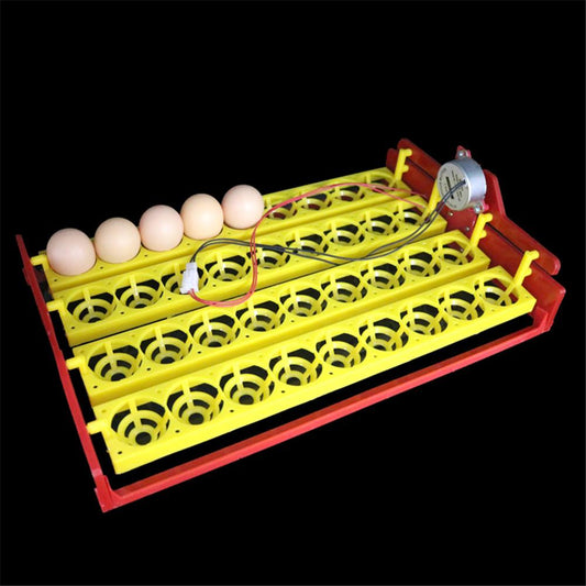 36 Eggs Poultry Incubator Turn Tray Duck Goose Pigeon Quail Birds Automatic Hatching Equipment Farm Animal Incubation Supplies