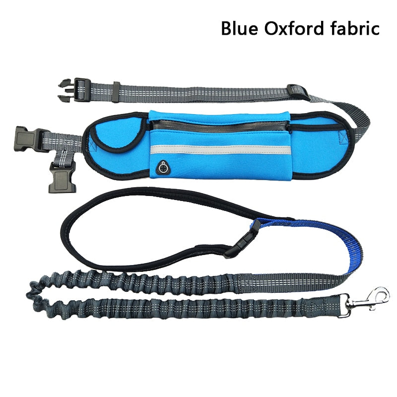 Reflective Hands Free Elastic Belt Pet Leash set with Waste Bag