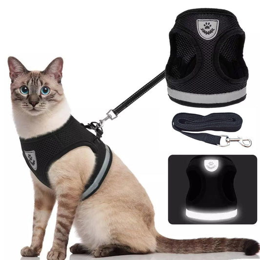 Breathble Reflective Pet Vest and Leash