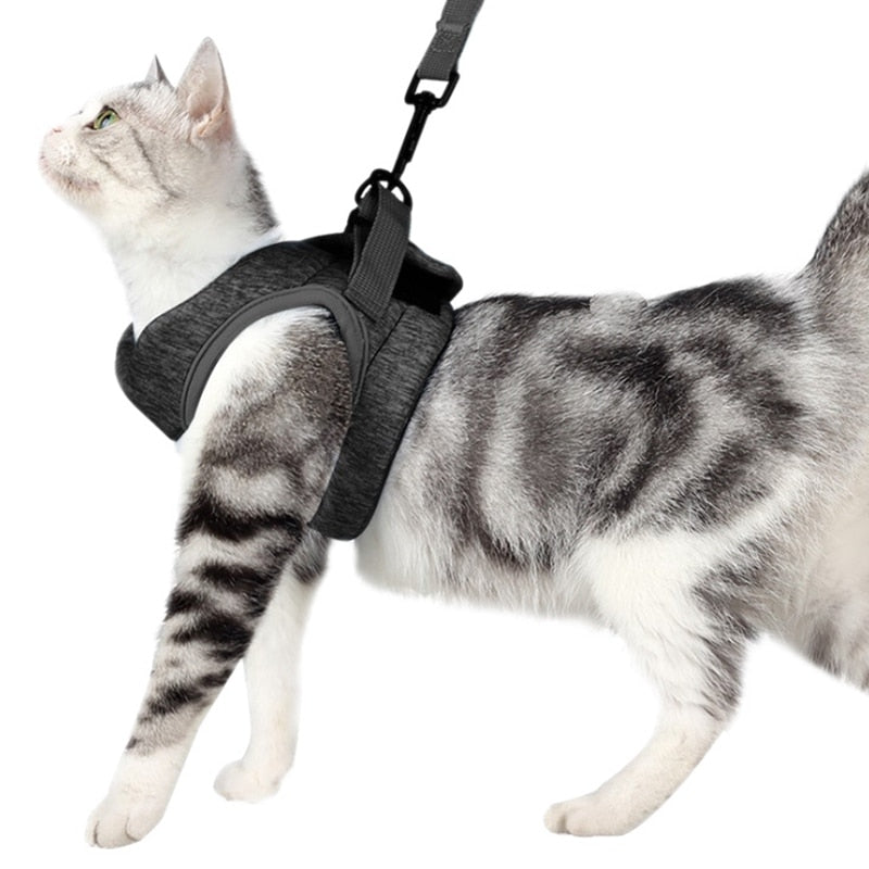 Escape proof Cat Harness and Leash Soft and Adjustable