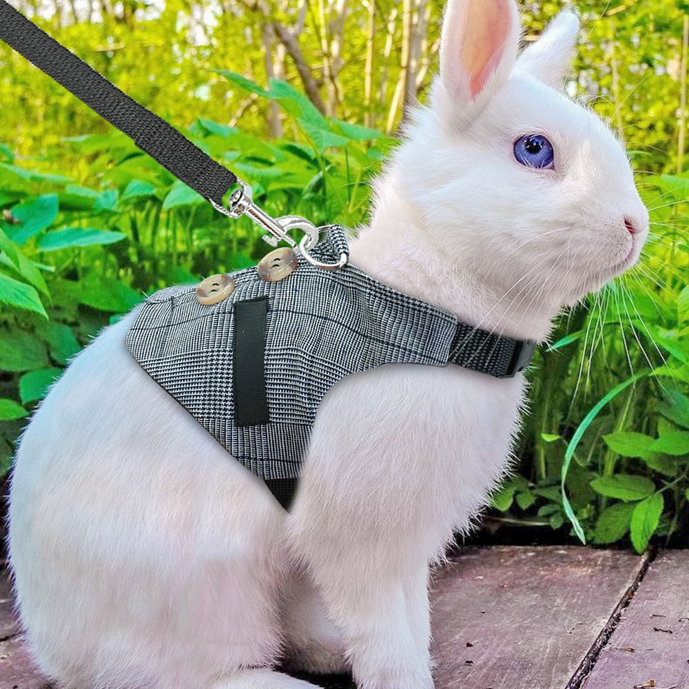 Small Pet Vest Harness with leash