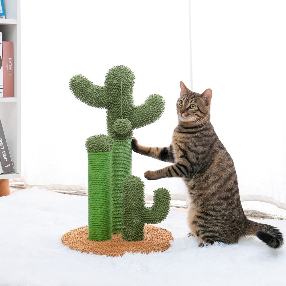 Scratching Climbing Tree Post with ball