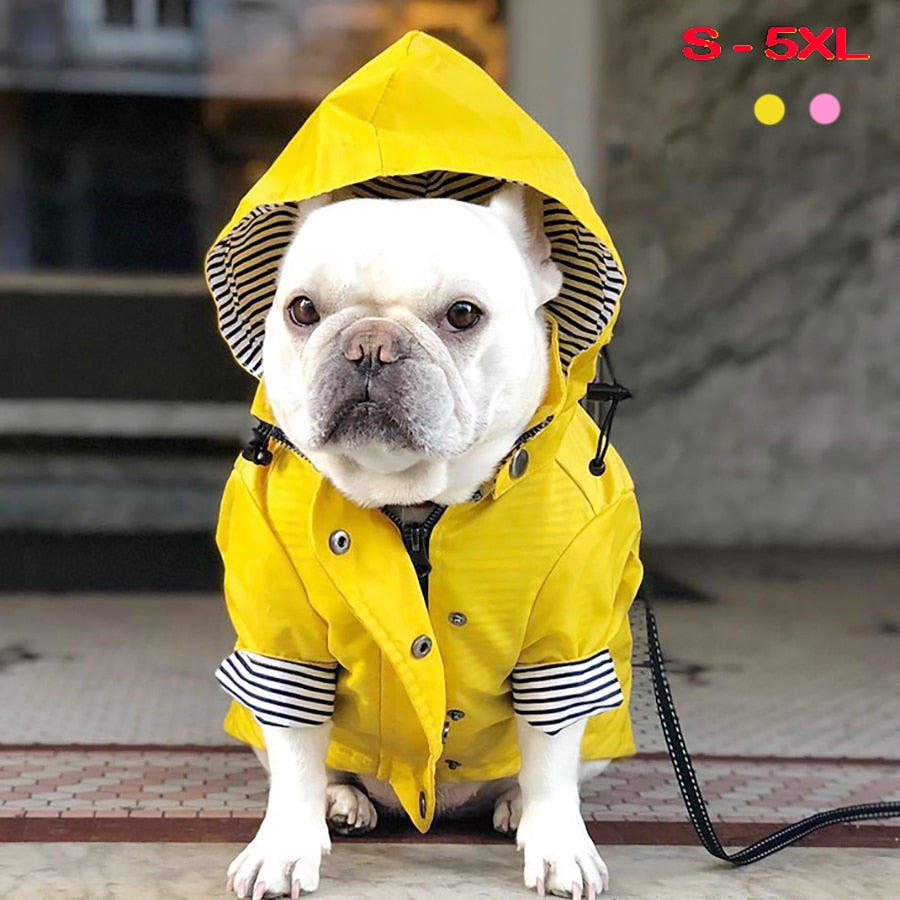 Waterproof Pet Jacket f